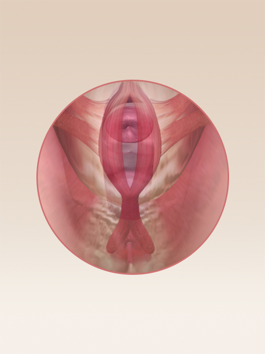 Result B&A - Intimate Rejuvenation - Vagina Tightening_After.jpg